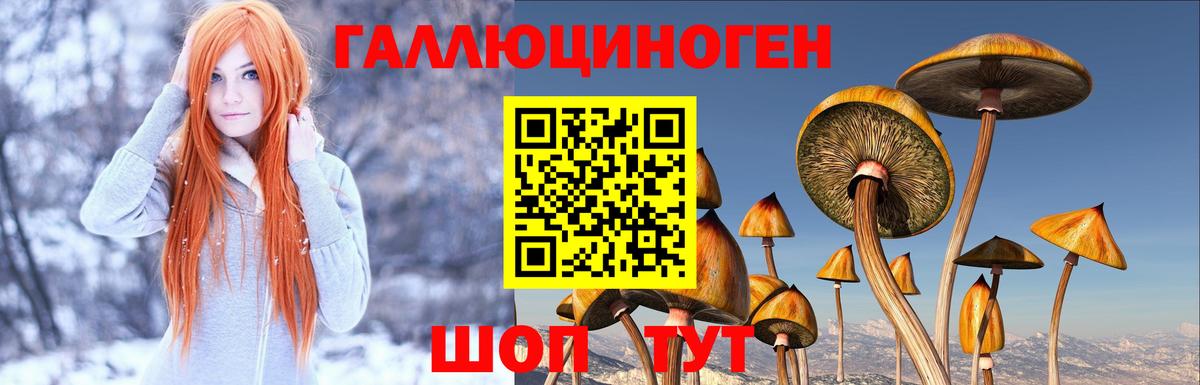 Галлюциногенные грибы мухоморы  Вход с VPN  Псилоцибиновые грибы Psilocybine cubensis  Волхов 